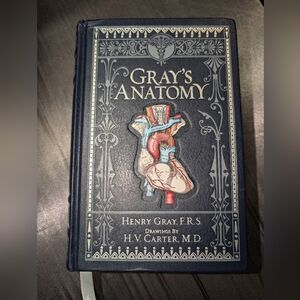 Greys anatomy leather bound book